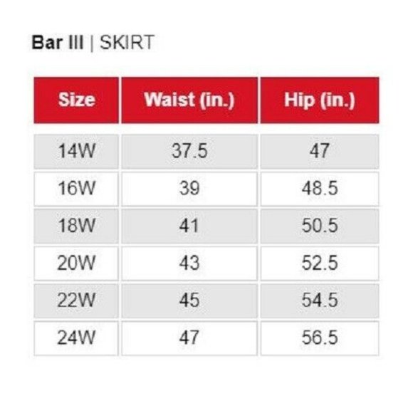 Bar III 20W Brown White Striped Skirt NWT AI57 - Picture 7 of 7